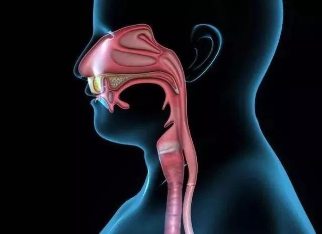 中医怎么治疗食管肿瘤?成都东区中医肿瘤医院段心好
