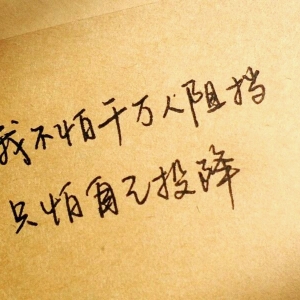 我不怕千万人阻挡，只怕自己投降