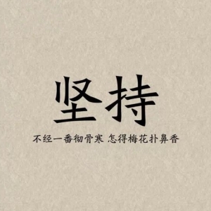 不经一番彻骨寒，怎得梅花扑鼻香
