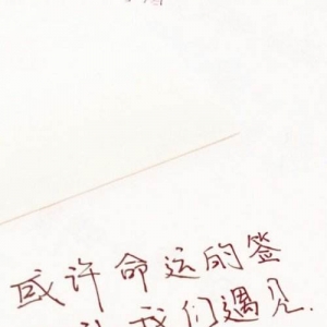 或许命运的签只让我们遇见