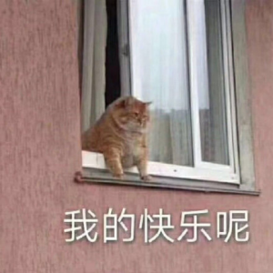 敏感肌如何不敏感？OB LAB给你安全感