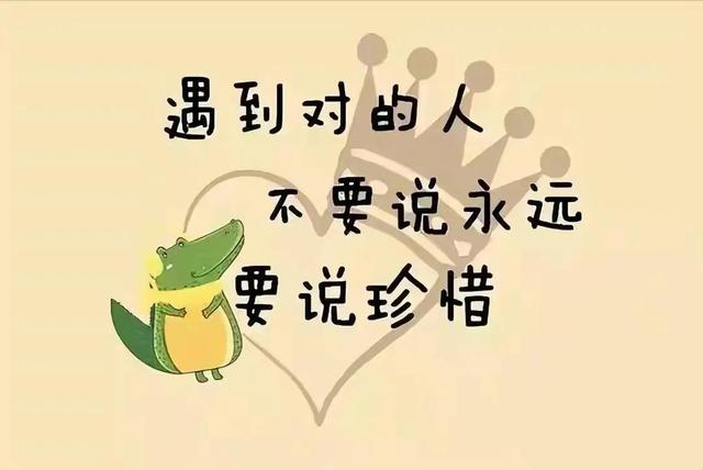 给生活加点蜂蜜